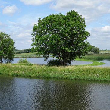 IJsselvallei (Engelse Werk)